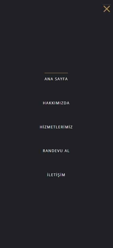 Proje ekran görüntüsü 3